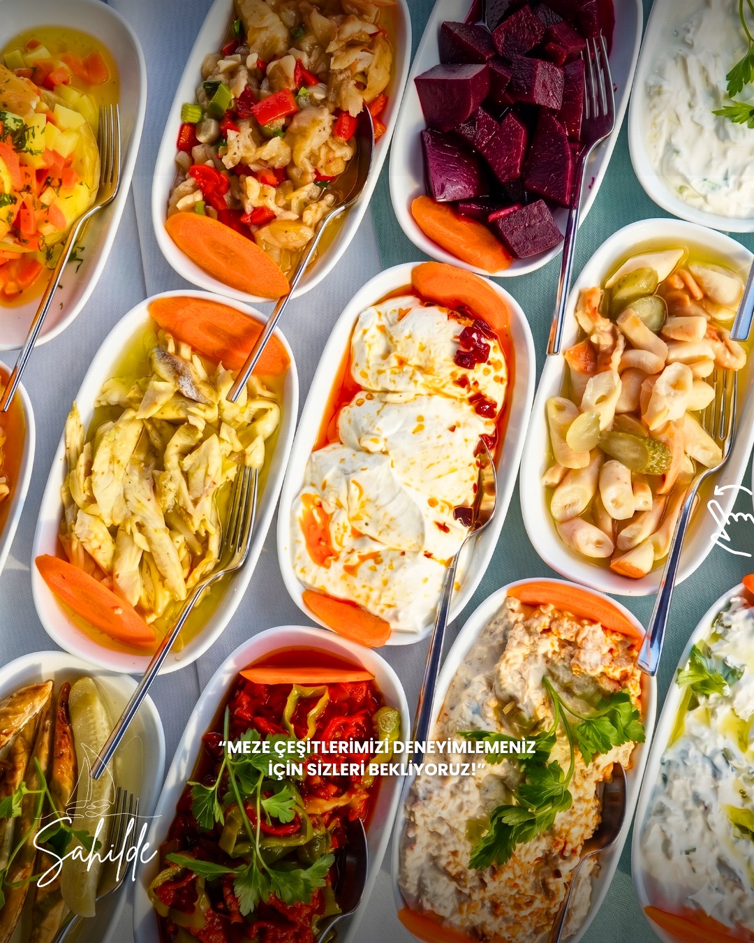 Meze çeşitleri